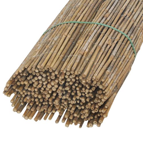  Canisse  bambou  pas cher ou d occasion sur Rakuten