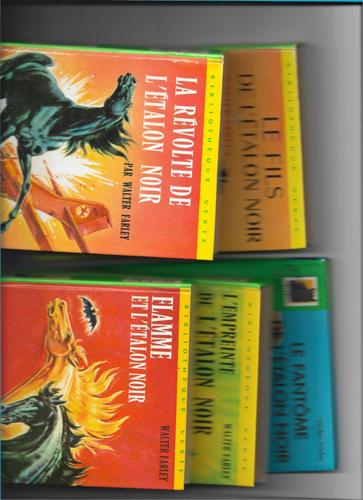 Achat Livres Bibliotheque Verte Noir Pas Cher Ou D Occasion Rakuten