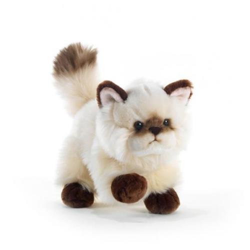 Achat Peluche Chat Siamois Pas Cher Ou D Occasion Rakuten