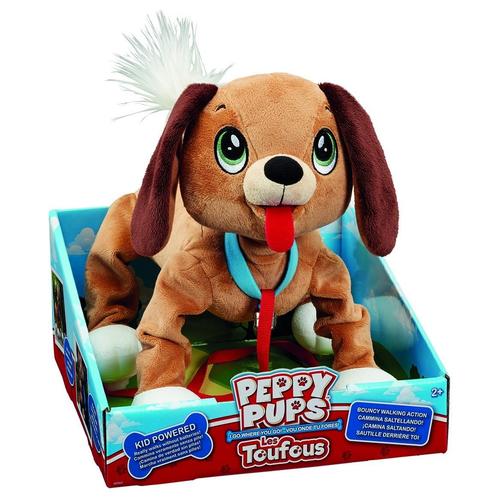 chien toufou bulldog