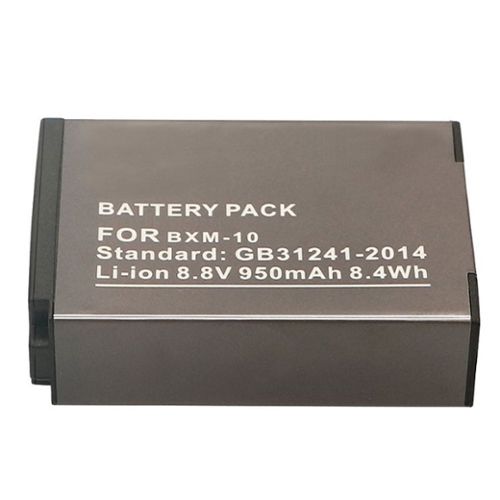8.8V vhbw Li-ION Batterie 900mAh pour Appareil Photo DSLR XiaoYi Yi M1
