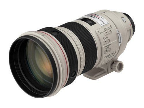canon ef 300 mm f 2 8 l is usm d'occasion  