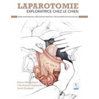 Laparotomie exploratrice chez le chien