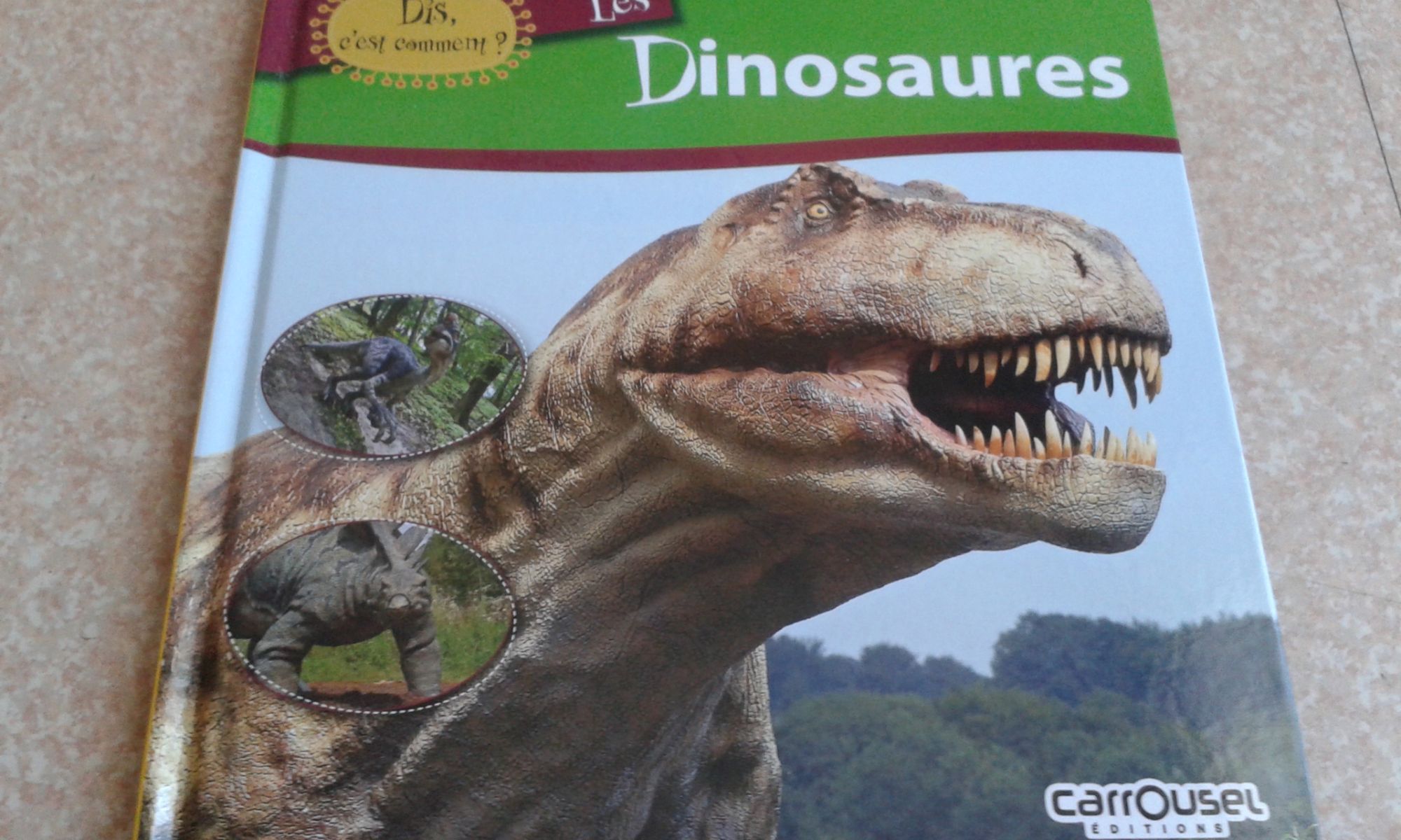 dis,c'est comment les dinosaures