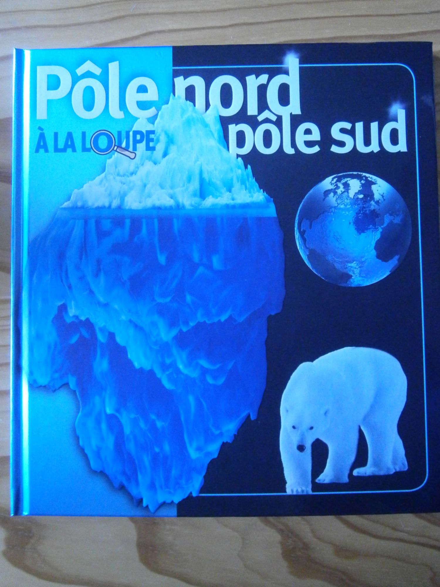 Pôle nord pôle sud à la loupe
