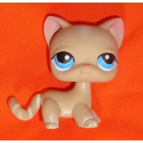 Petshop Chat Europeen Lps N 228 Hasbro Rakuten