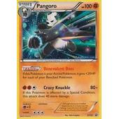 Carte Pokemon Française XY50 Promo Pandarbare Holo