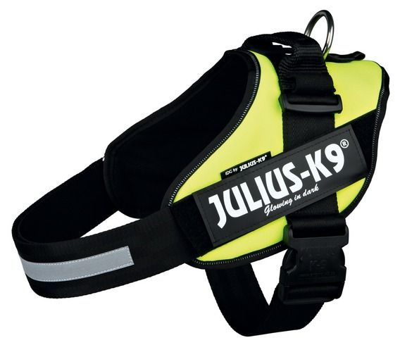 Harnais Jaune Julius K9 Pour Chien M