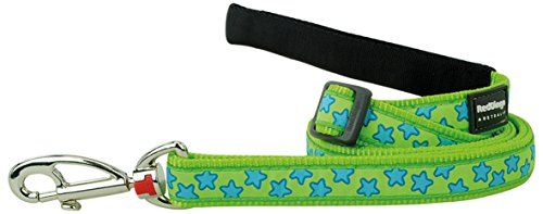 Comparer les prix de Red dingo - laisse design pour chien - vert étoiles bleues - s