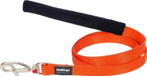 Comparer les prix de Red dingo - laisse pour chien - orange - xl
