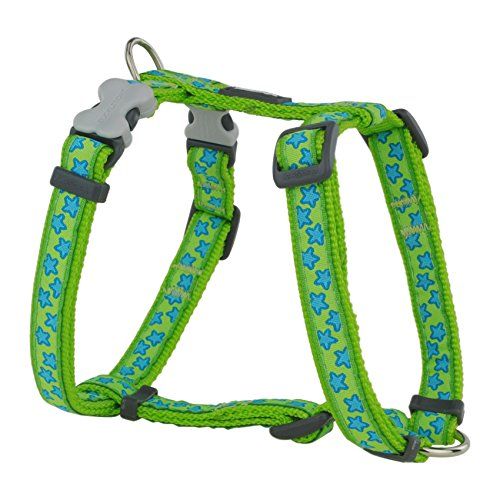 Comparer les prix de Red dingo - harnais design pour chien - vert étoiles bleues - s