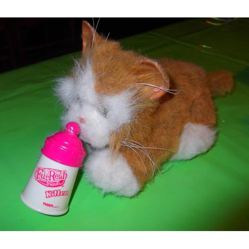 Chat Interactif Furreal Tiger Electronic Et Son Biberon