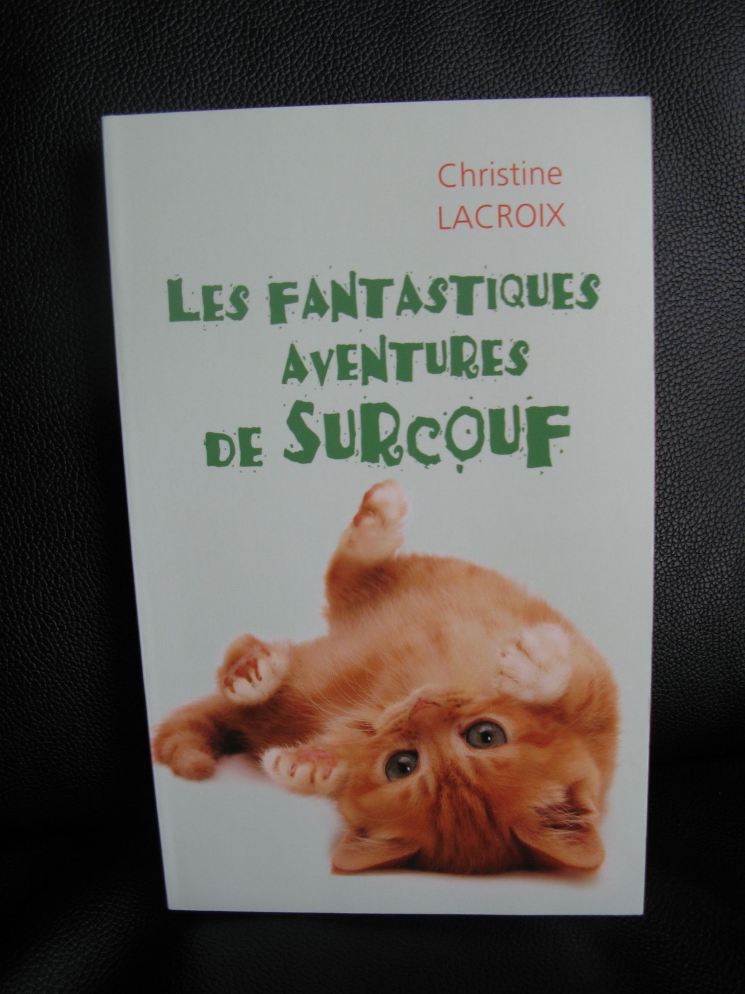 Les fantastiques aventures de Surcouf