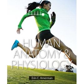 Human Anatomy & Physiology Plus Mastering A&P with eText -- Access Card Package - Erin C. Amerman