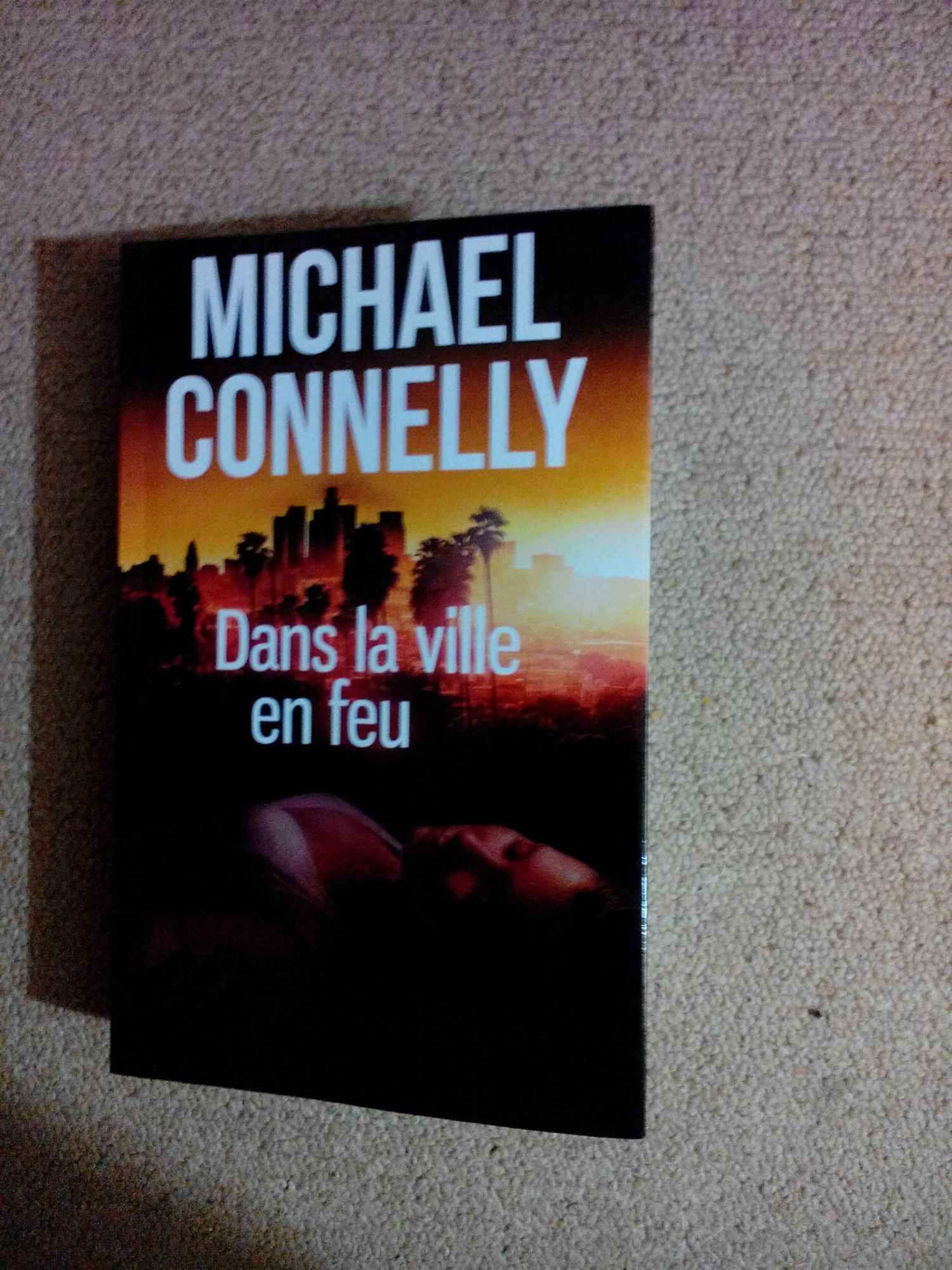 Dans la ville en feu