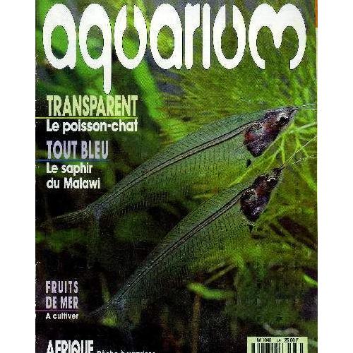 Aquarium Magazine N 39 Transparent Le Poisson Chat Tout Bleu Le Saphir Du Malawi Fruits