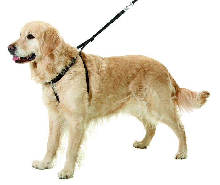 Comparer les prix de Harnais d'éducation pour chiens easy walker taille xl longueur 52-84 cm