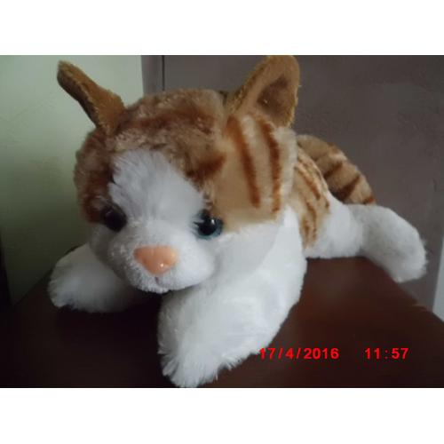 Chat Tigre Marron Et Blanc Peluche Rakuten