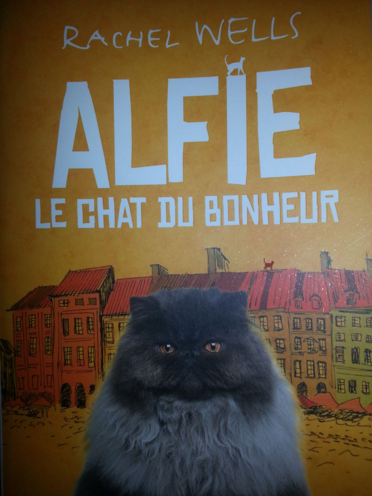 Alfie Le Chat Du Bonheur De Rachel Wells Rakuten