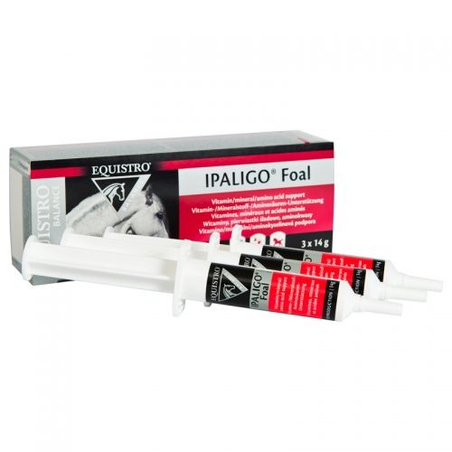 Equistro Ipaligo Foal - 3 Seringues