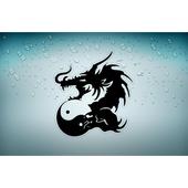 Autocollant sticker voiture moto tuning dragon tribal macbook vinyl macbook r3