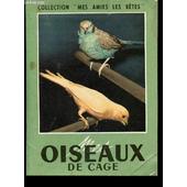 Oiseaux De Cage Pas Cher Ou Doccasion Sur Rakuten - 