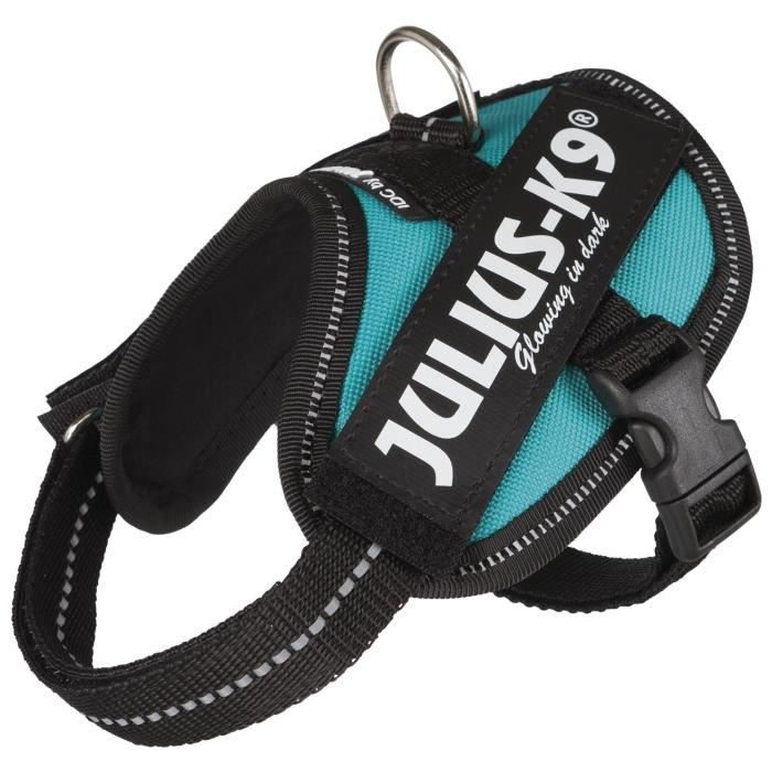 Julius-K9 Harnais Power Idc - Baby 2 - Xs-S : 33-45 Cm-18 Mm - Pétrole - Pour Chien