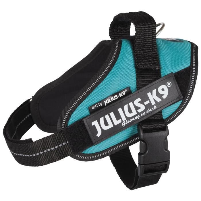 Julius-K9 Harnais Power Idc - Mini-Mini - S : 40-53 Cm-22 Mm - Pétrole - Pour Chien