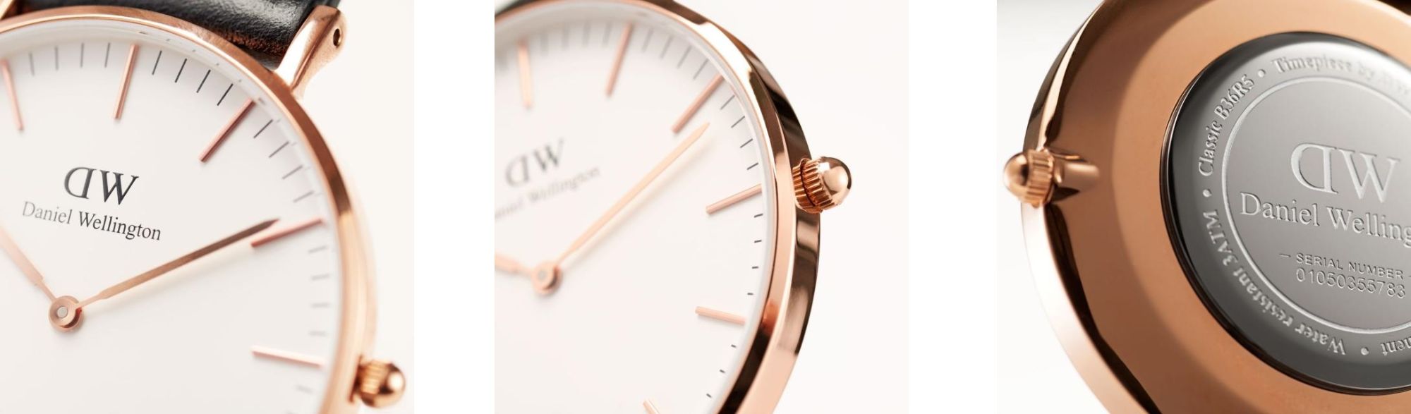 36mm Daniel Montre Classic Gold Sheffield Rose 0508dw Wellington QrBExoeCdW