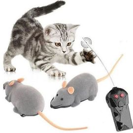 jouet radiocommandé pour chat