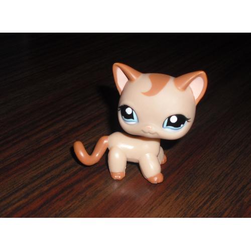 Petshop Chat Europeen N 1024 Figurines Rakuten