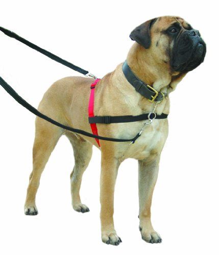 Halti Harnais Pour Chien Anti-Traction Rouge Et Noir Taille M