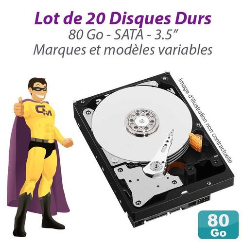Lot De 20 Disques Durs 3.5" 80Go Sata Western Digital Hitachi Samsung Seagate