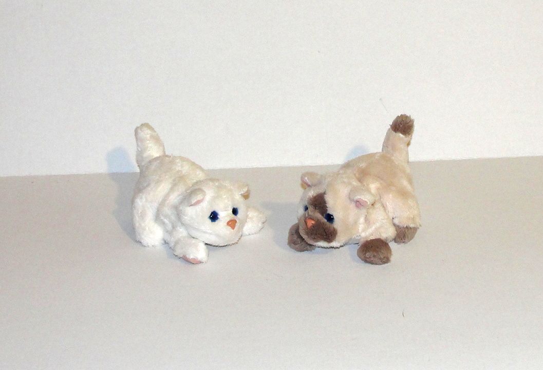 furreal chaton