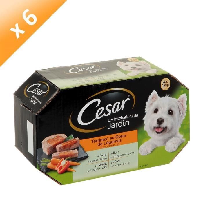 Cesar Barquette De Terrine Aux Légumes - Pour Chien - 4x150g (X6)