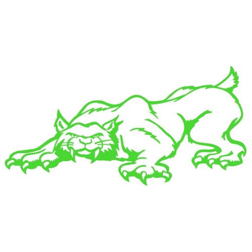 logo avec un puma vert