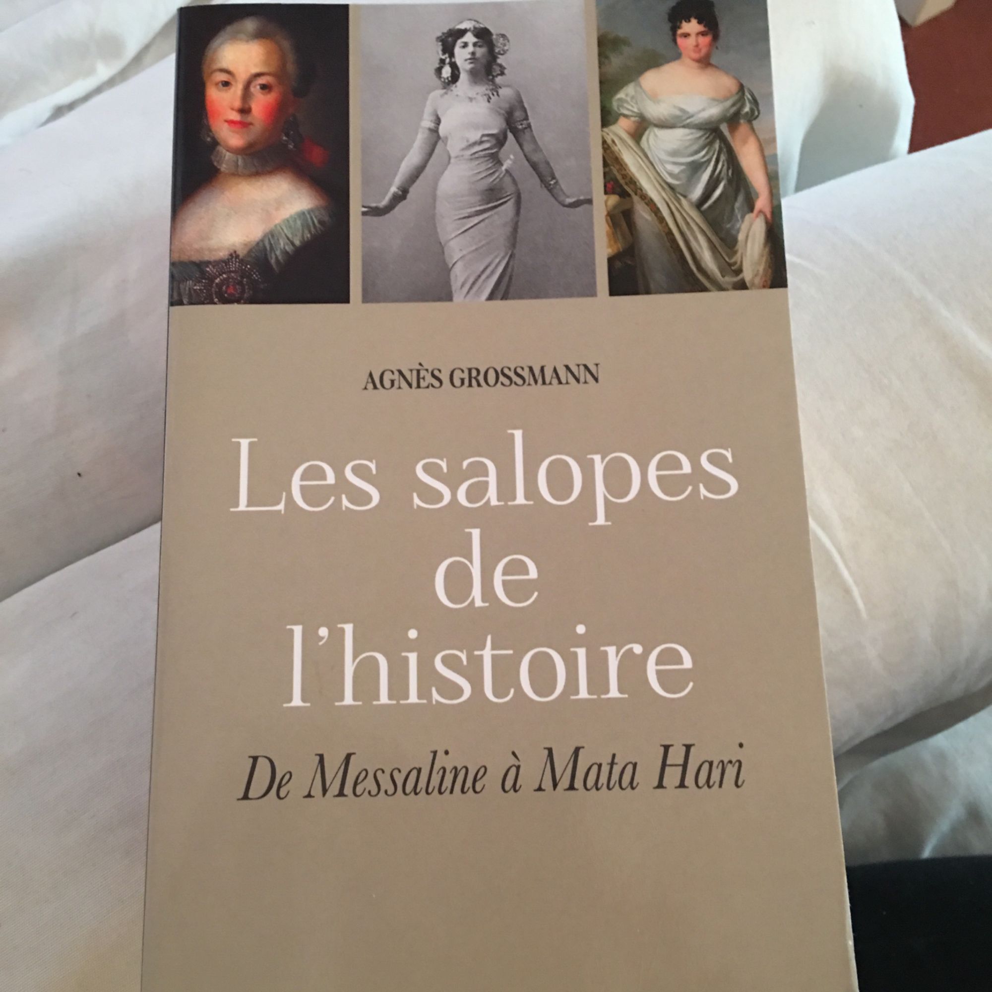 voir fiche du jeu Les salopes de l'histoire