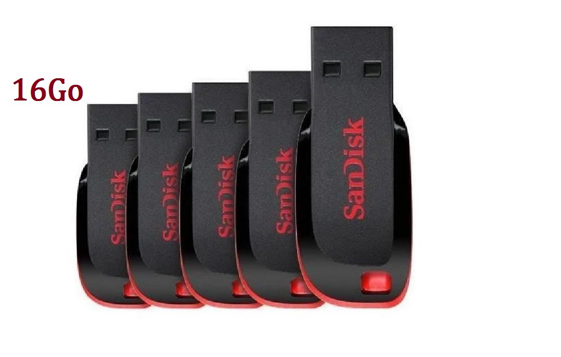 5 x SanDisk Cruzer Blade Clé USB paquet de cinq