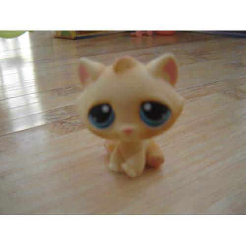 Petshop Chat De Gouttiere N 122 Figurine Rakuten