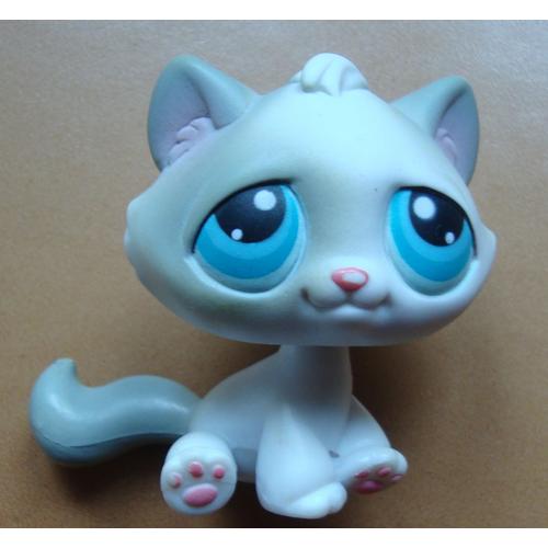 Petshop Chat De Gouttiere Hasbro Figurine Rakuten