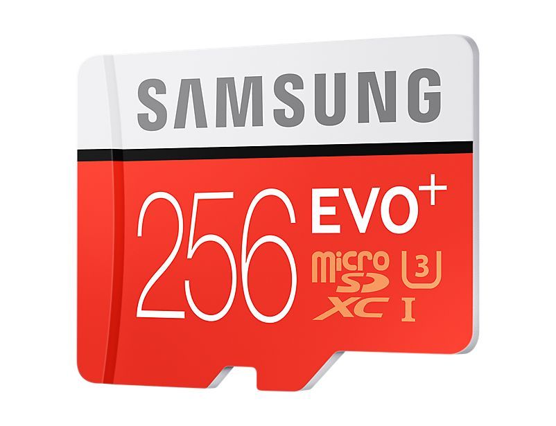 Carte mémoire micro SD SDXC Samsung Evo plus micro SD 256Go Classe 10 UHS-I (U1) sans l'emballage (en vrac)