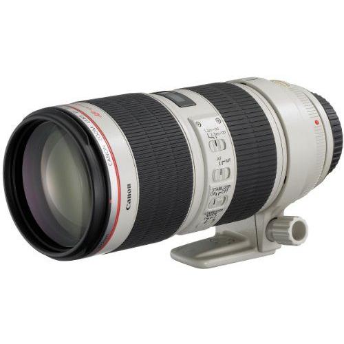 Canon Tã©Lã©Objectif Zoom Ef70-200Mm F2.8L Is Ii Usm Agrandir La Correspondance