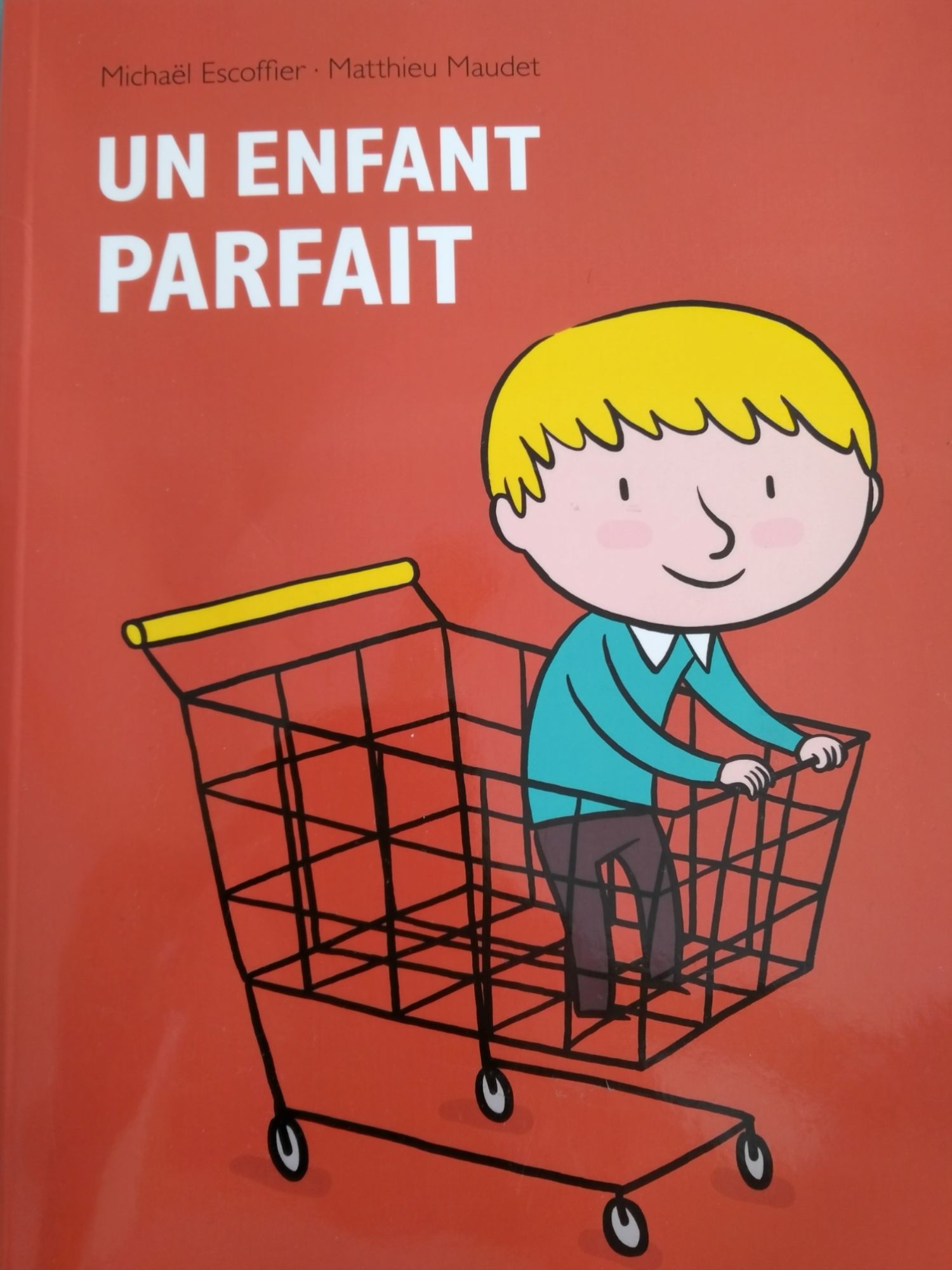 Livre un enfant parfait