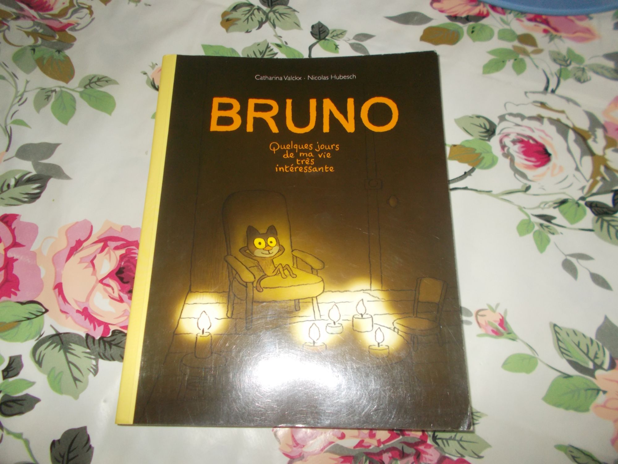 Bruno: quelques jours de ma vie trés interessante