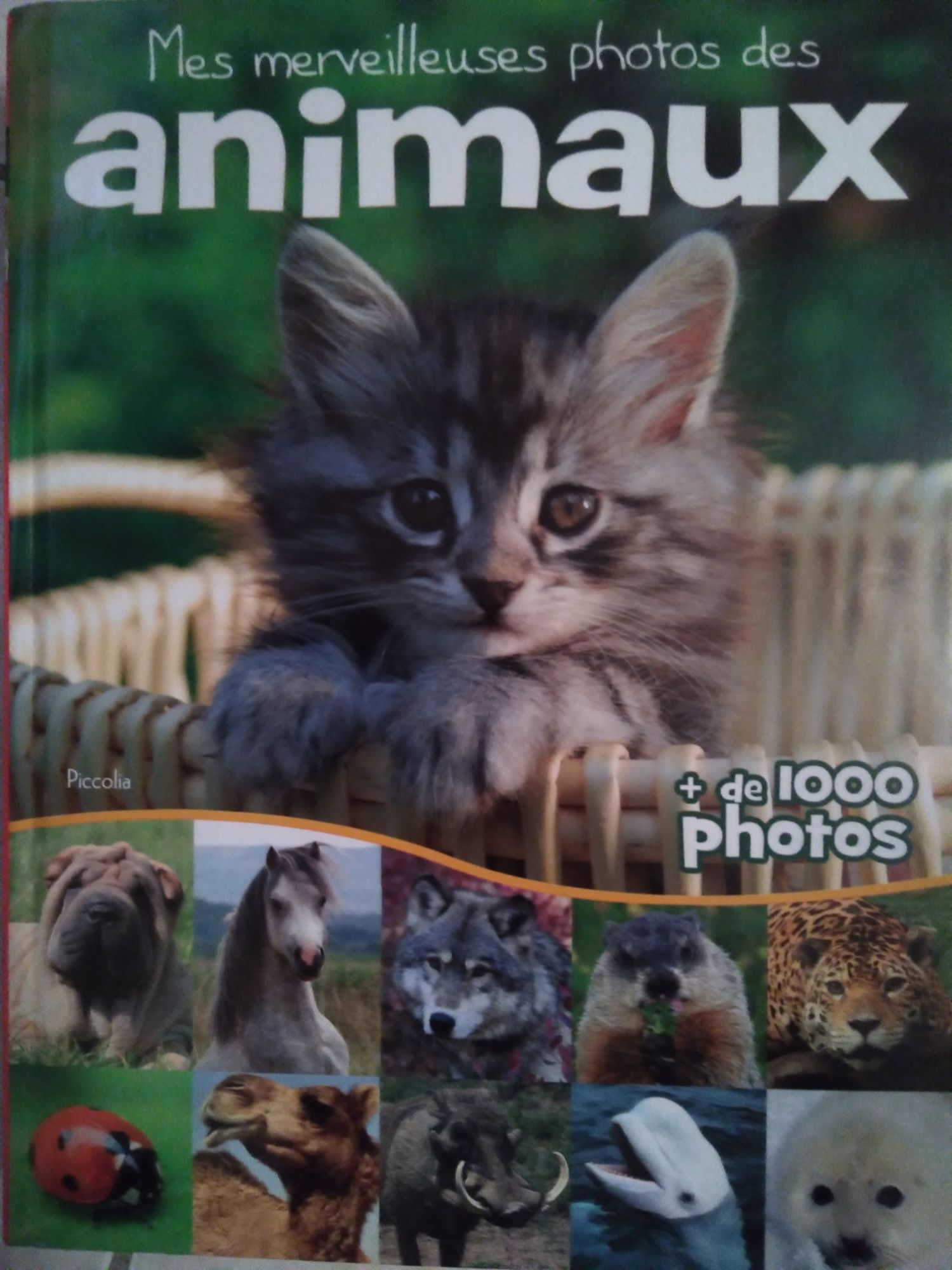 Mes merveilleuse photos des animaux