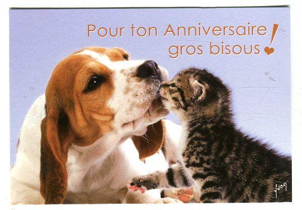 gros bisous pour ton anniversaire Carte Postale Pour Ton Anniversaire Gros Bisous Rakuten gros bisous pour ton anniversaire