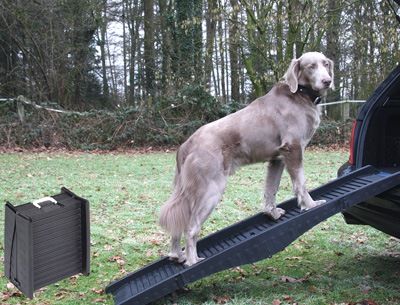 Comparer les prix de Rampe Pliable Grise 1,52m Pr Chien Jusque 60kg