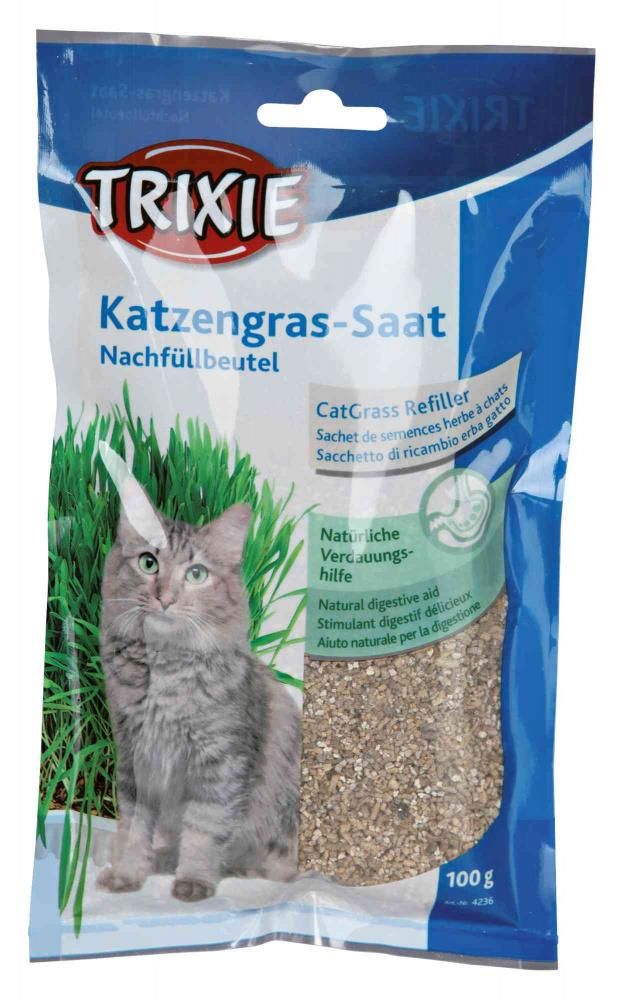 Meilleurs prix pour Sachet De Semences Herbe À Chats Pour # 4235 - Sac/Env. 100 G - Lot De 20