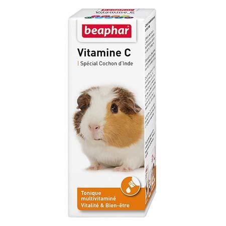 Vitamine C, Cochon D'inde - 100 Ml