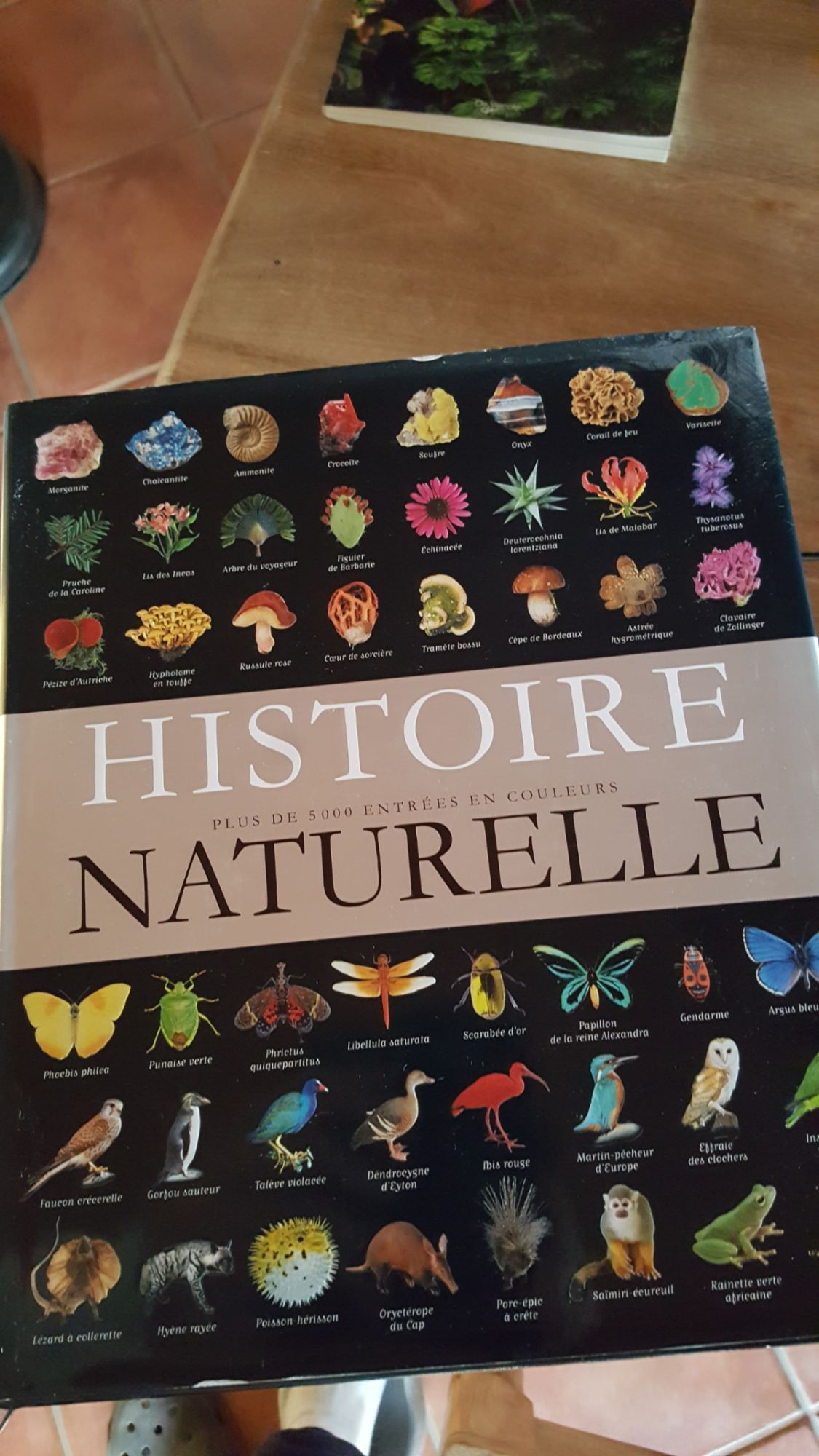 Histoire Naturelle ( plus de 5000 entrées en couleurs ) France Loisirs